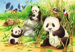 Ravensburger Kinderpuzzle - 07820 Süße Koalas Und Pandas - Puzzle Für Kinder Ab 4 Jahren, Mit 2x24 Teilen -Ravensburger Geschäft 07820 2