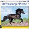 Ravensburger Kinderpuzzle - 12803 Schwarzer Hengst - Pferde-Puzzle Für Kinder Ab 8 Jahren, Mit 200 Teilen Im XXL-Format -Ravensburger Geschäft 12803