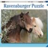 Ravensburger Kinderpuzzle - 12986 Schöne Pferde - Tier-Puzzle Für Kinder Ab 7 Jahren, Mit 150 Teilen Im XXL-Format -Ravensburger Geschäft 12986