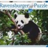 Ravensburger Puzzle 16989 Pandabär 500 Teile Puzzle -Ravensburger Geschäft 16989