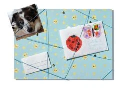 Ravensburger EcoCreate 18145 – Decorate Your Room – Kinder Ab 6 Jahren 39 Ravensburger EcoCreate 18145 – Decorate Your Room – Kinder Ab 6 Jahren -Ravensburger Geschäft 18145 18