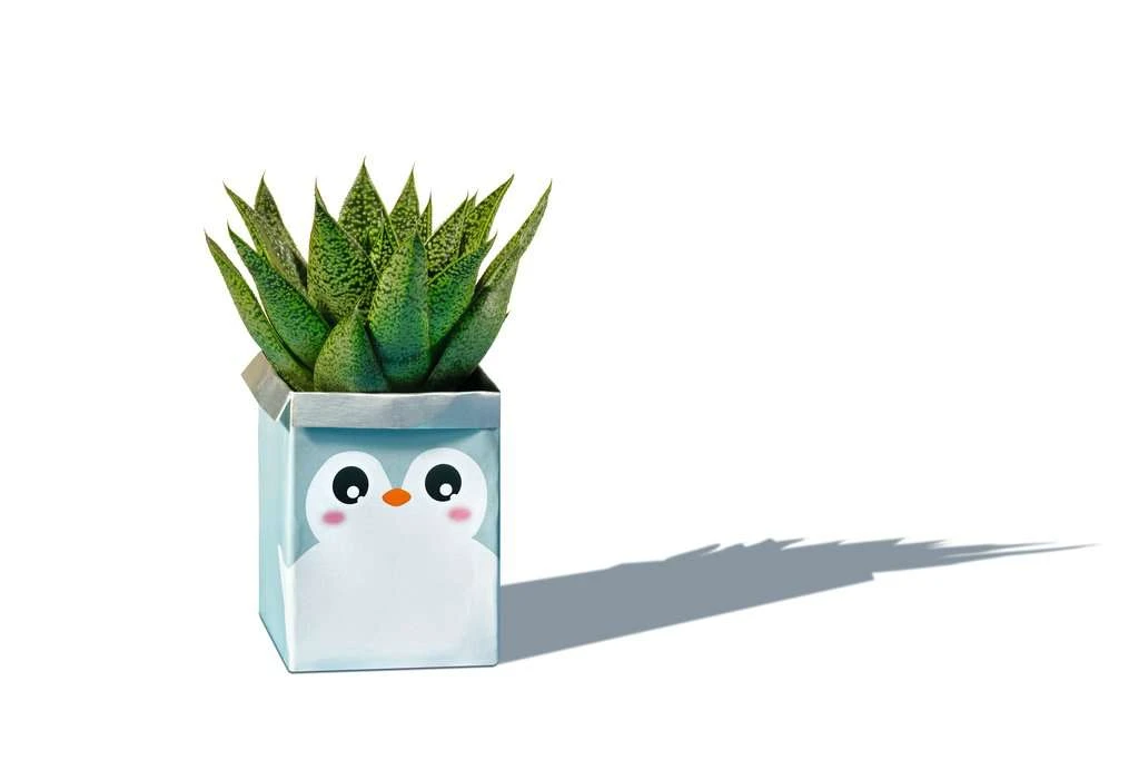 Ravensburger EcoCreate 18145 – Decorate Your Room – Kinder Ab 6 Jahren 11 Ravensburger EcoCreate 18145 – Decorate Your Room – Kinder Ab 6 Jahren – Bild 10