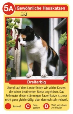 Ravensburger 20421 - Tierquartett Katzen, Klassiker Für 3-6 Spieler Ab 4 - 12 Jahre, 32 Katzenrassen -Ravensburger Geschäft 20421 2