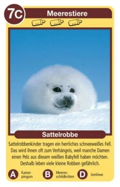 Ravensburger 20423 - Tierquartett Tierkinder, Klassiker Für 3-6 Spieler Ab 4 - 12 Jahre, 32 Tierkinder -Ravensburger Geschäft 20423 2