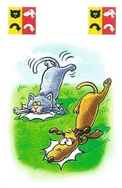 Ravensburger Kinderkartenspiele 20430 - Kinder Mau Mau -Ravensburger Geschäft 20430 3