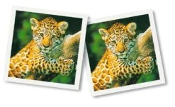 Ravensburger 23013 - Tierbaby Memory®, Der Spieleklassiker Für Tierfans, Merkspiel Für 2-8 Spieler Ab 4 Jahren -Ravensburger Geschäft 23013 2