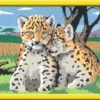Ravensburger Malen Nach Zahlen 28486 - Kleine Leoparden – Kinder Ab 9 Jahren 1 Ravensburger Malen Nach Zahlen 28486 - Kleine Leoparden – Kinder Ab 9 Jahren -Ravensburger Geschäft 28486