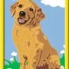 Ravensburger Malen Nach Zahlen 28511 - Kleiner Golden Retriever- Kinder Ab 7 Jahren -Ravensburger Geschäft 28511