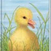 Ravensburger Ich Bin Die Kleine Ente -Ravensburger Geschäft 43548